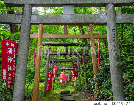 山間の参道に幾重にも連なる鳥居 (湯神社、弥彦村、新潟県) 山間の参道に幾重にも連なる鳥居 (湯神社、弥彦村、新潟県) 80419524