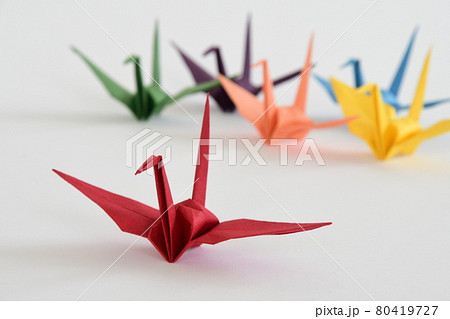 LGBTレインボーカラーの折り鶴　白背景 80419727