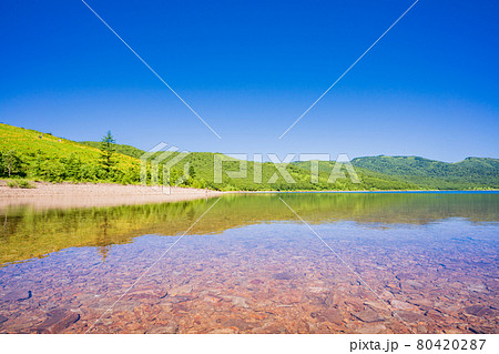 群馬県）夏の野反湖 湖畔の情景の写真素材 [80420287] - PIXTA