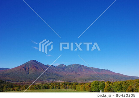 青森県 紅葉時期の八甲田連峰 青森県 紅葉時期の八甲田連峰 80420309