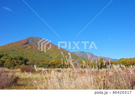 青森県 紅葉時期の八甲田山(雛岳) 青森県 紅葉時期の八甲田山(雛岳) 80420317