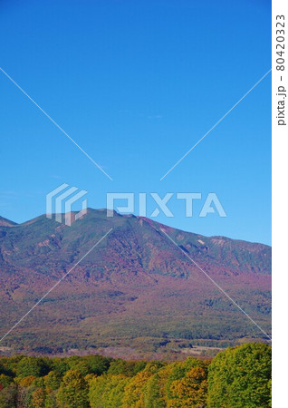 青森県 紅葉時期の八甲田山(井戸岳・赤倉岳・田茂范岳) 青森県 紅葉時期の八甲田山(井戸岳・赤倉岳・田茂范岳) 80420323