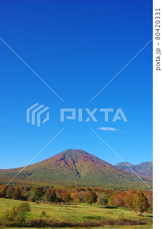 青森県　紅葉時期の八甲田山（雛岳・八甲田大岳） 80420331