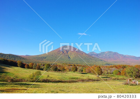 青森県　紅葉時期の八甲田連峰 80420333