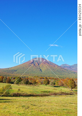 青森県 紅葉時期の八甲田山(雛岳・八甲田大岳) 青森県 紅葉時期の八甲田山(雛岳・八甲田大岳) 80420334