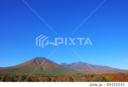 青森県 紅葉時期の八甲田連峰 青森県 紅葉時期の八甲田連峰 80420343