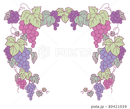 ぶどうのイラストの装飾フレームのイラスト素材