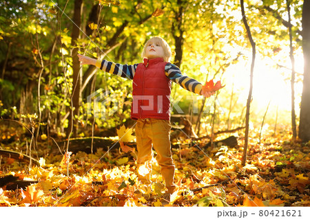 Little boy having fun during stroll in the forest at sunny autumn day. Child playing maple leaves. Active family time on nature. Hiking with little kids. Little boy having fun during stroll in the forest at sunny autumn day. Child playing maple leaves. Active family time on nature. Hiking with little kids. 80421621