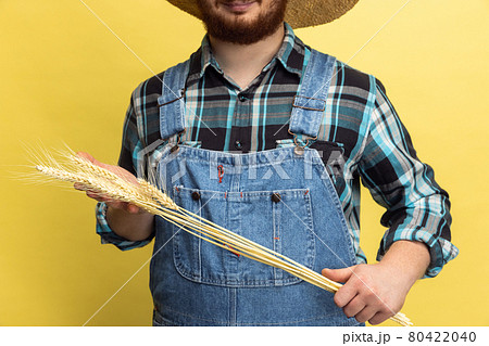 Cropped image of man, farmer with wheat isolated over yellow studio background. Concept of professional occupation, work. 80422040