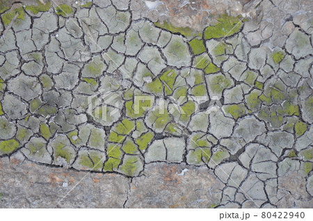 Dry and cracked ground texture 80422940