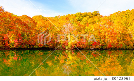 鎌池の紅葉 鎌池の紅葉 80422962