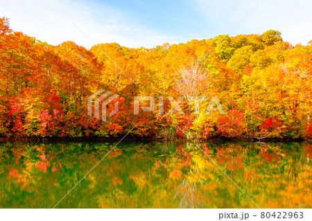 鎌池の紅葉 鎌池の紅葉 80422963