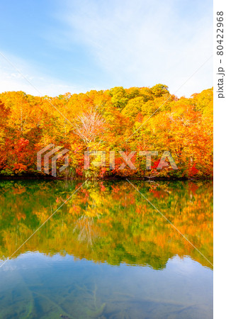 鎌池の紅葉 鎌池の紅葉 80422968