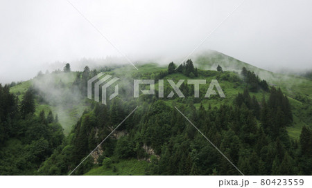 Fog creeping along green mountain meadows. Mystic scene in the Bernese Oberland on a rainy summer day. Fog creeping along green mountain meadows. Mystic scene in the Bernese Oberland on a rainy summer day. 80423559