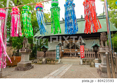 若宮神明社、七夕飾りが映える〈愛知県一宮市〉 80423593