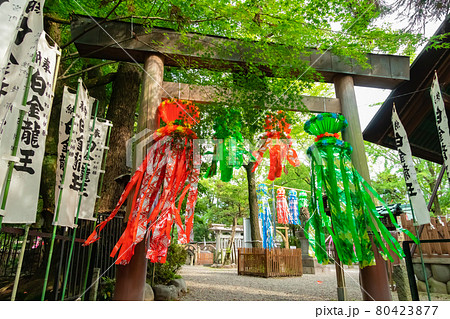 若宮神明社、七夕飾りが映える〈愛知県一宮市〉 80423877