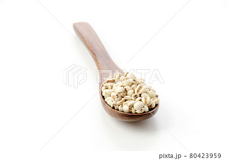 はと麦 はと麦 80423959