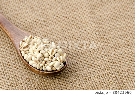 はと麦 はと麦 80423960