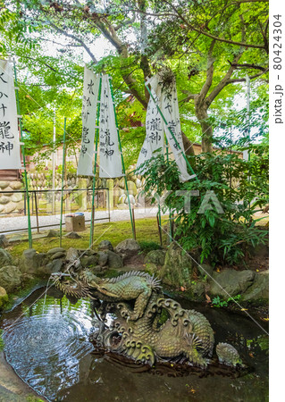 若宮神明社の水かけ龍神〈愛知県一宮市〉 80424304