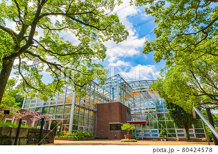 春日井市都市緑化植物園、愛称はグリーンピア春日井〈愛知県春日井市〉 春日井市都市緑化植物園、愛称はグリーンピア春日井〈愛知県春日井市〉 80424578