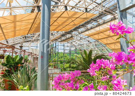 春日井市都市緑化植物園、愛称はグリーンピア春日井〈愛知県春日井市〉 春日井市都市緑化植物園、愛称はグリーンピア春日井〈愛知県春日井市〉 80424673