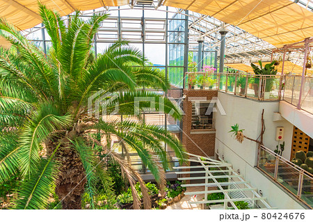 春日井市都市緑化植物園、愛称はグリーンピア春日井〈愛知県春日井市〉 80424676
