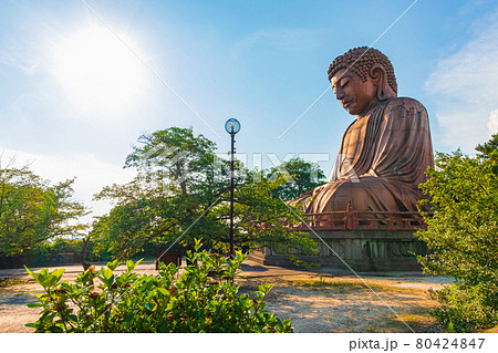 聚楽園大仏、公園にたたずむ巨大な大仏〈愛知県東海市〉 80424847