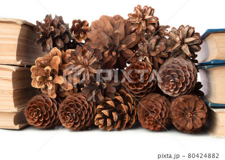 Christmas background with cones and vintage books on white background. 80424882