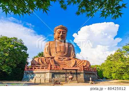 聚楽園大仏、公園にたたずむ巨大な大仏〈愛知県東海市〉の写真素材