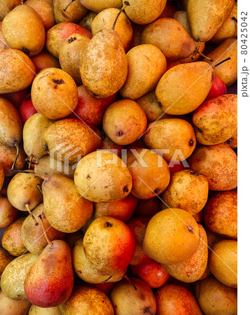 lots of ripe sweet pears to eat as a background lots of ripe sweet pears to eat as a background 80425042