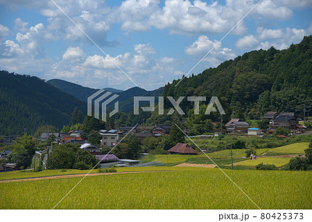 後山山麓　夏の終わりの風景3　岡山県美作市 80425373