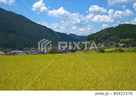 後山山麓　夏の終わりの風景1　岡山県美作市 80425376