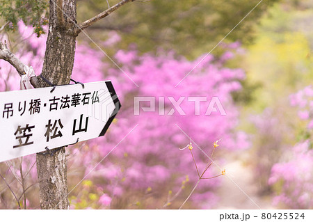 加西アルプス笠松山へと続く登山道(兵庫県加西市西笠原町)※作品コメント欄に撮影位置 加西アルプス笠松山へと続く登山道(兵庫県加西市西笠原町)※作品コメント欄に撮影位置 80425524