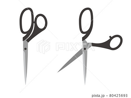 布ばさみのイラスト　はさみのイラスト 80425693