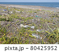 プラスチックごみが散らばる砂浜海岸 80425952