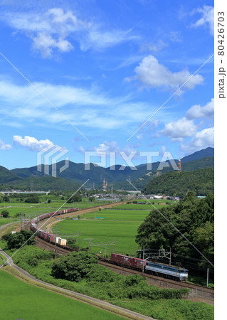 東海道線を走る貨物列車 東海道線を走る貨物列車 80426703