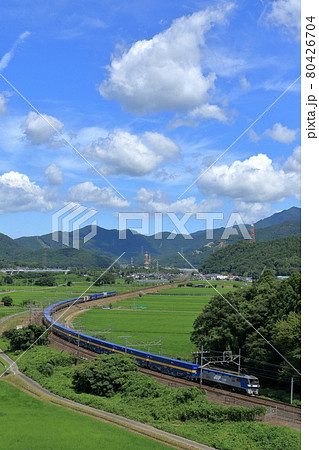 東海道線を走る貨物列車 80426704