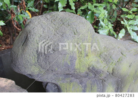 自然・庭園・清澄庭園の庭石 80427283