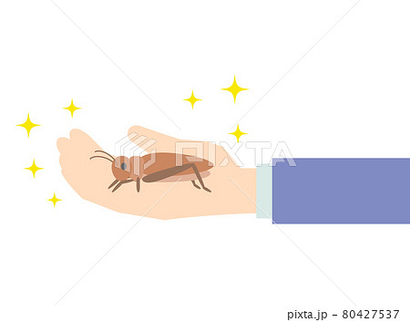 右手にのせられた食用コオロギのイラストのイラスト素材