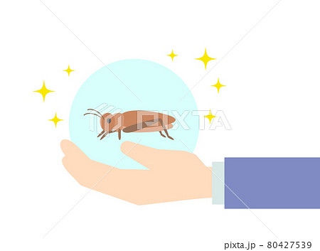 左手の上でキラキラする食用コオロギのイラストのイラスト素材