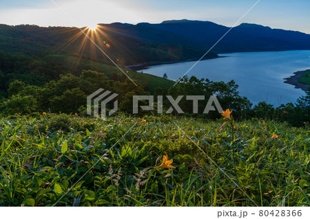 (群馬県)ノゾリキスゲ咲く野反湖 日没 (群馬県)ノゾリキスゲ咲く野反湖 日没 80428366