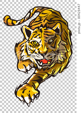 Tiger for New Year's cards 80428447