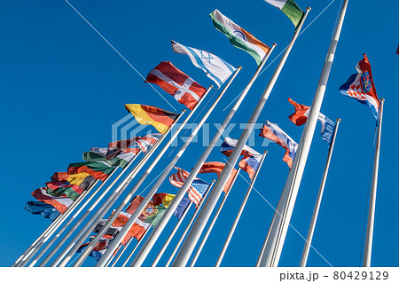 Different flags fluttering on flagpoles 80429129