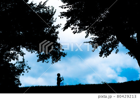 京都府八幡市背割り堤で虫取りをする少年を撮影 80429213