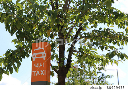 街なかのタクシー乗り場(韓国) 街なかのタクシー乗り場(韓国) 80429433