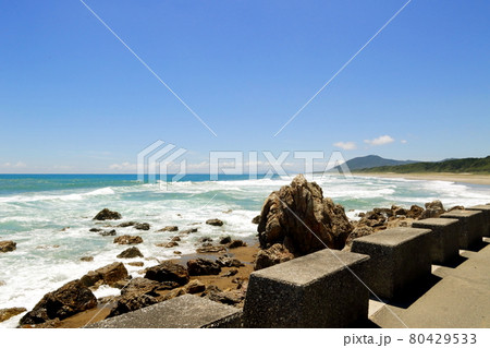 渥美半島の夏~愛知県田原市 渥美半島の夏~愛知県田原市 80429533