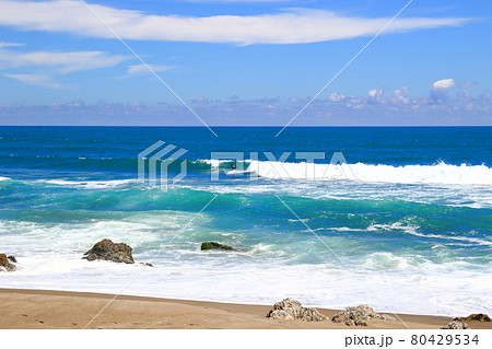 渥美半島の夏~愛知県田原市 渥美半島の夏~愛知県田原市 80429534