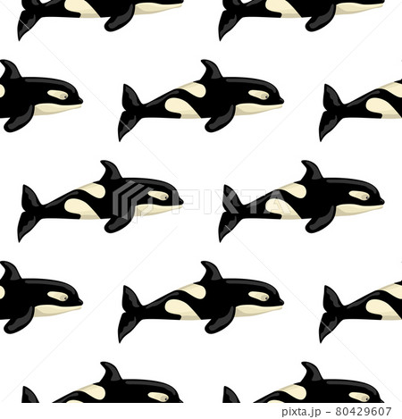 Seamless pattern Orca on white background. Template of cartoon character of ocean for children. 80429607