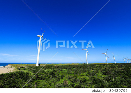 【茨城県神栖市】風力発電と青空風景 【茨城県神栖市】風力発電と青空風景 80429795