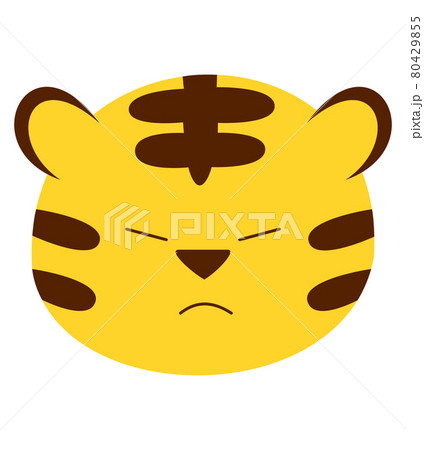 むっとするトラの表情素材 むっとするトラの表情素材 80429855